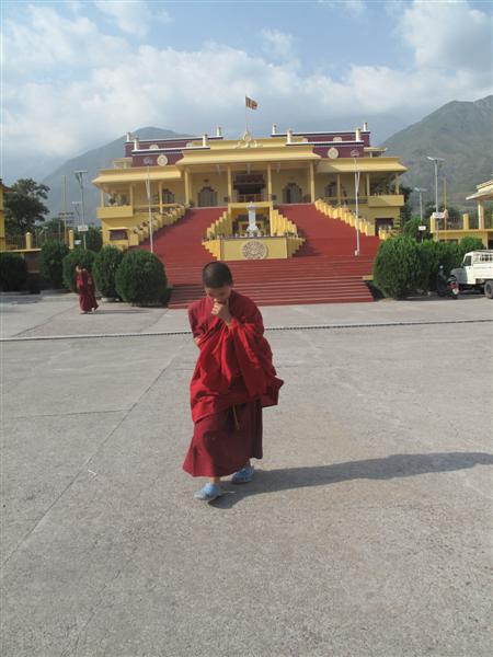 A young Monk walks in Gyuto Compex, the temporary residence of  17th Karmapa Lama