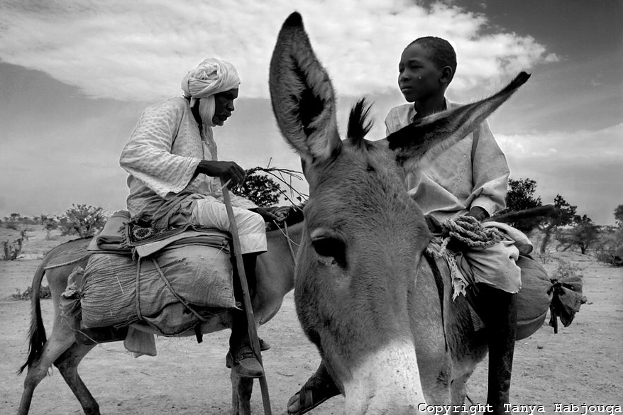 From"Sanctuary: Portraits in the Sahel & Uganda"