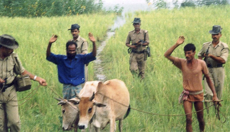 Bangladeshi cattle lifters/thieves
