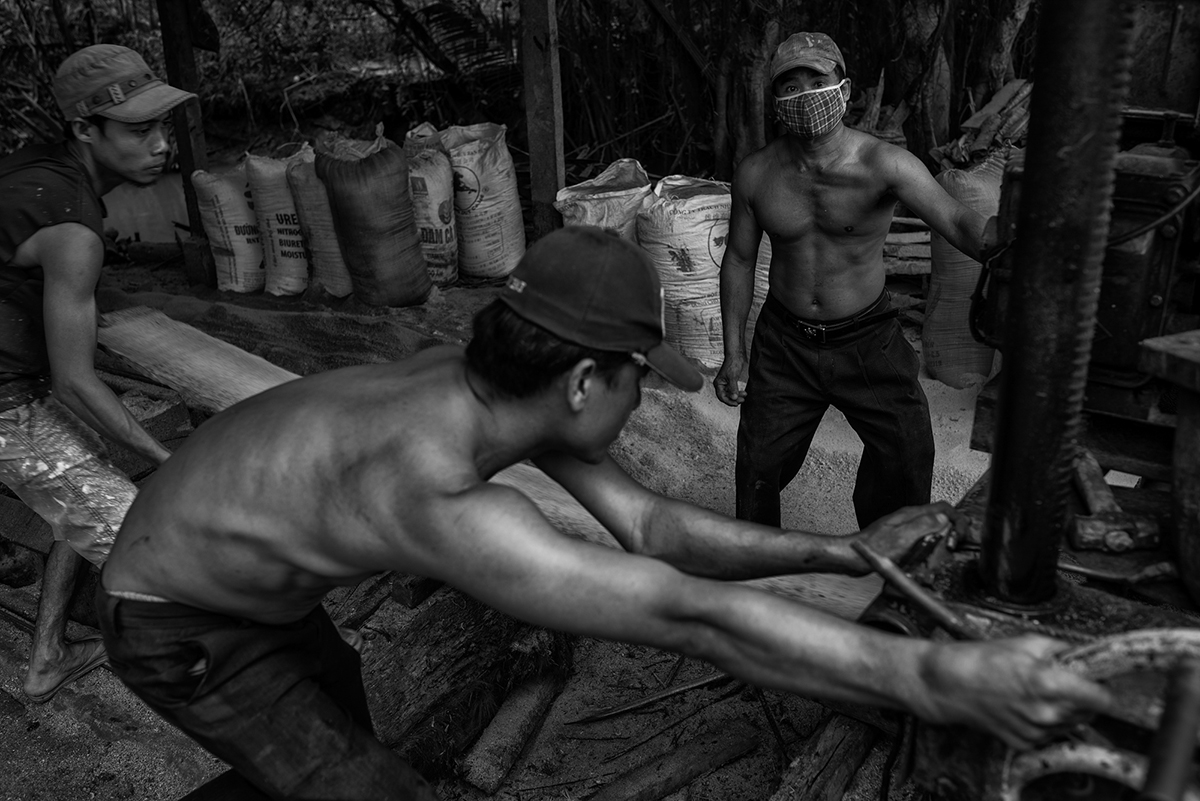 Workers in a small timber yard