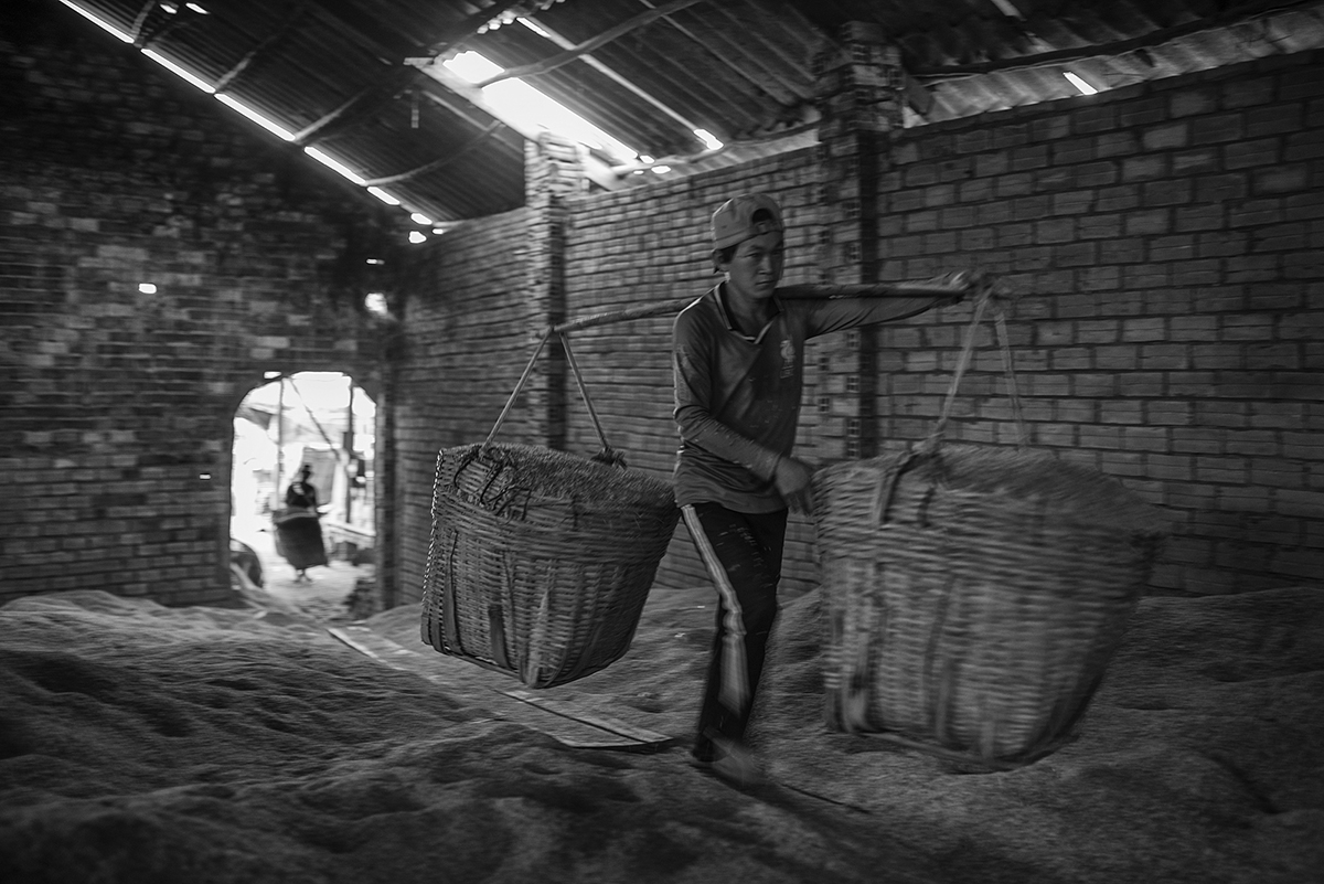 A worker carries a 50kg loads of rice husks