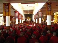 Monks and Nuns listen pray at the Monastery