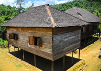 Dayak House