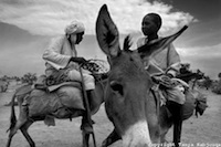 From"Sanctuary: Portraits in the Sahel & Uganda"