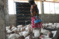 Women Farmers in Enugu, Nigeria