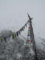 Tibetan Prayer flags Chitkul