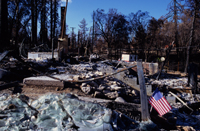 Stars and stripes, in the wake of destruction
