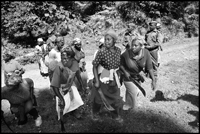 Women enter the forest to collect their firewood.